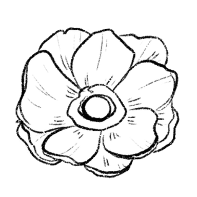 anemone